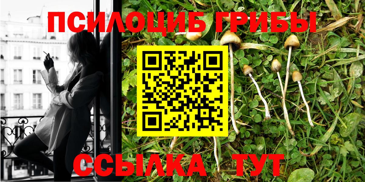 Псилоцибиновые грибы мухоморы Аргун