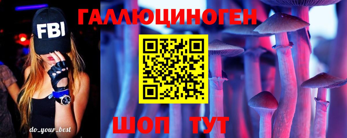 Аргун  Галлюциногенные грибы Psilocybe  Вход с VPN 